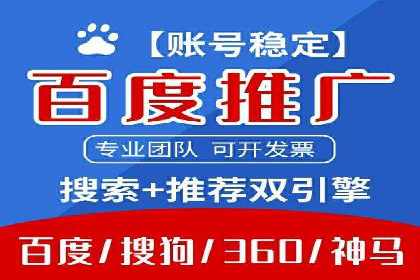 成功SEM推广代运营案例展示